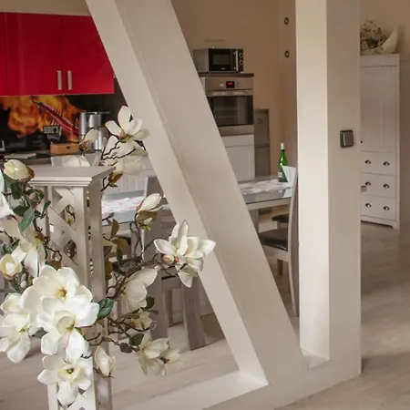 Apartamento Vogelnest Zentral In Mit Pool *