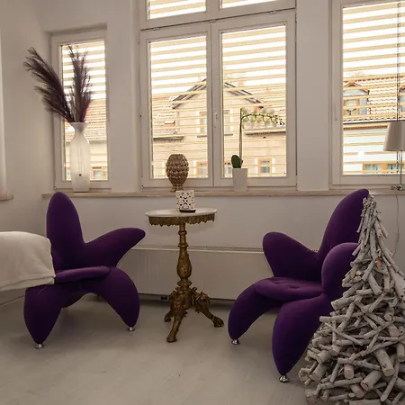 Vogelnest Zentral In Mit Pool