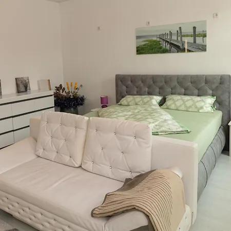 Vogelnest Zentral In Mit Pool Appartement Mühlhausen