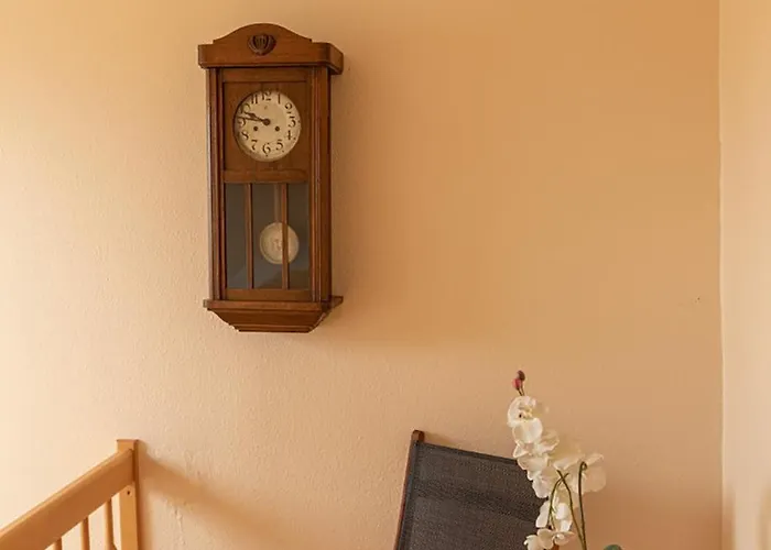 Appartement Vogelnest Zentral In Mit Pool Mühlhausen